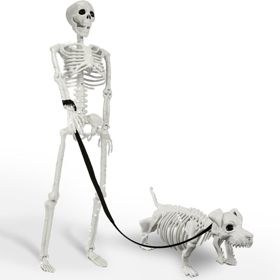 Lighted Human Dog Skeleton Halloween Decorations Outdoor Indoor 36 Inch Realistic Full Body Movable Posable Skeleton Spooky Halloween Decor - Home Decor & Storage | VELOURY LIVING