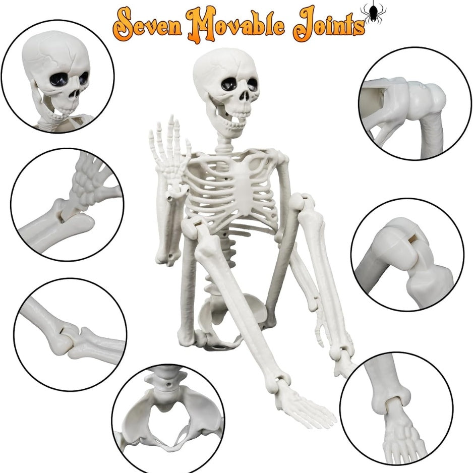 Lighted Human Dog Skeleton Halloween Decorations Outdoor Indoor 36 Inch Realistic Full Body Movable Posable Skeleton Spooky Halloween Decor - Home Decor & Storage | VELOURY LIVING
