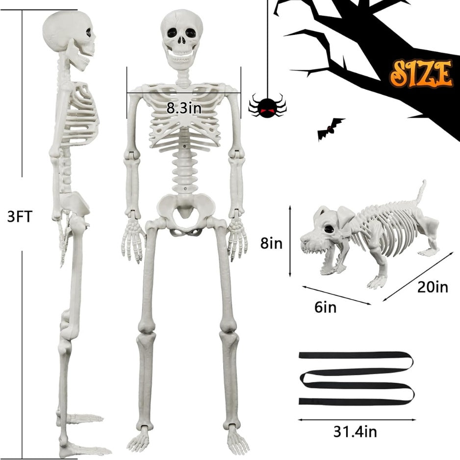Lighted Human Dog Skeleton Halloween Decorations Outdoor Indoor 36 Inch Realistic Full Body Movable Posable Skeleton Spooky Halloween Decor - Home Decor & Storage | VELOURY LIVING